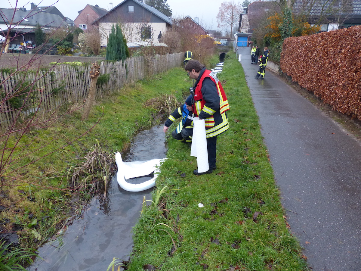 Ölalarm im Pulheimer Bach