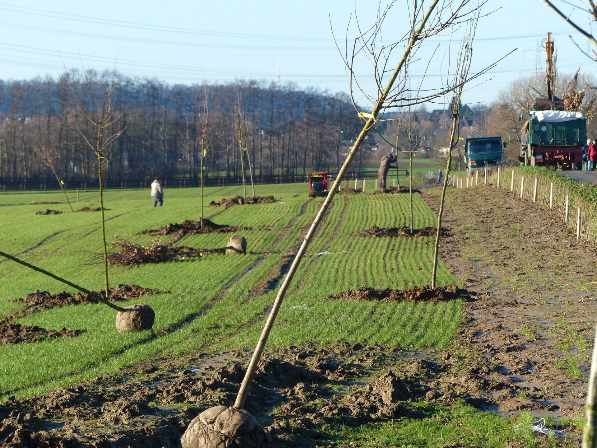 Grüner Saum für die Talsperre Sinthern